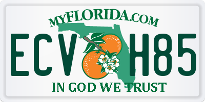 FL license plate ECVH85