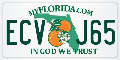 FL license plate ECVJ65