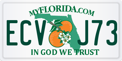 FL license plate ECVJ73