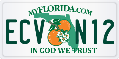 FL license plate ECVN12