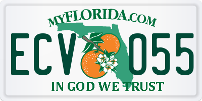 FL license plate ECVO55