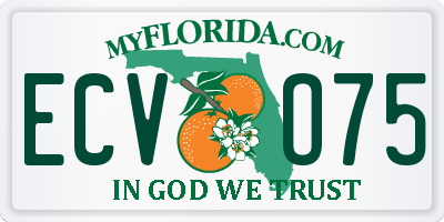 FL license plate ECVO75