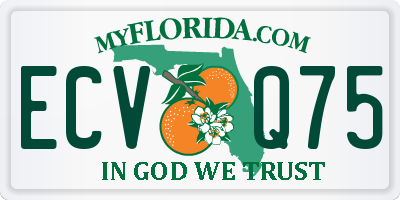 FL license plate ECVQ75