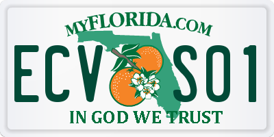 FL license plate ECVS01