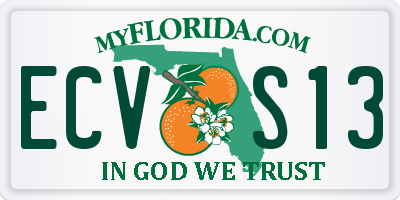 FL license plate ECVS13