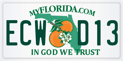 FL license plate ECWD13