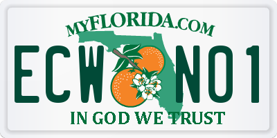 FL license plate ECWN01
