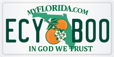 FL license plate ECYB00