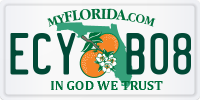 FL license plate ECYB08