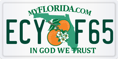 FL license plate ECYF65