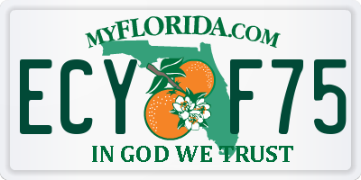 FL license plate ECYF75