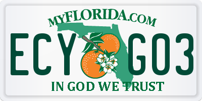 FL license plate ECYG03