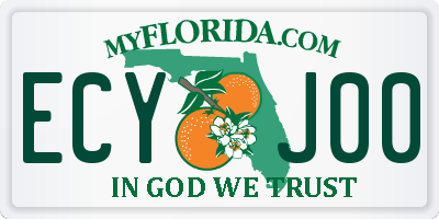 FL license plate ECYJ00