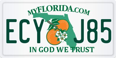 FL license plate ECYJ85
