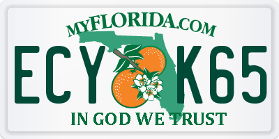 FL license plate ECYK65