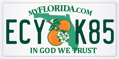 FL license plate ECYK85
