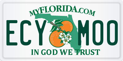 FL license plate ECYM00