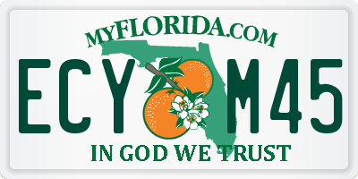 FL license plate ECYM45