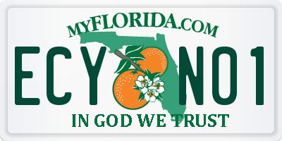 FL license plate ECYN01