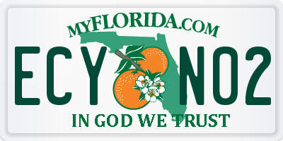 FL license plate ECYN02