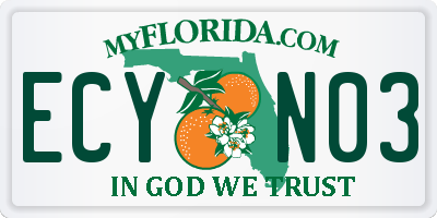 FL license plate ECYN03