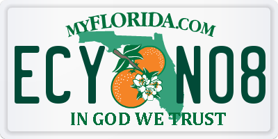 FL license plate ECYN08