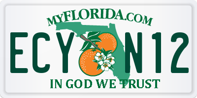 FL license plate ECYN12
