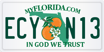 FL license plate ECYN13