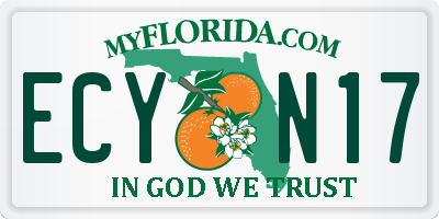 FL license plate ECYN17