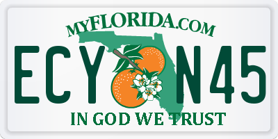 FL license plate ECYN45