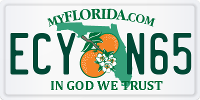 FL license plate ECYN65