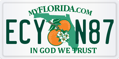 FL license plate ECYN87