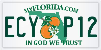 FL license plate ECYP12