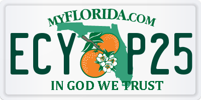 FL license plate ECYP25