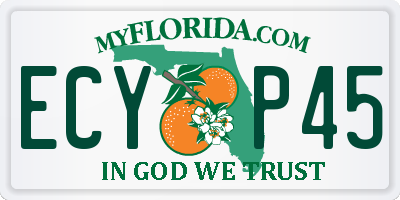FL license plate ECYP45