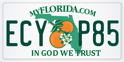 FL license plate ECYP85
