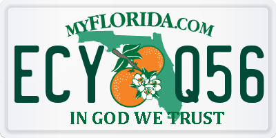 FL license plate ECYQ56