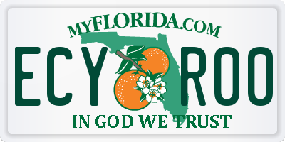 FL license plate ECYR00