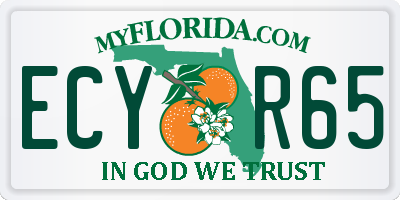 FL license plate ECYR65