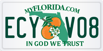 FL license plate ECYV08