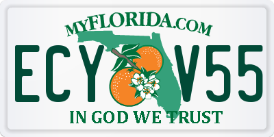 FL license plate ECYV55