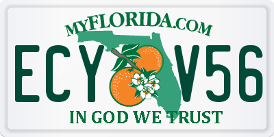 FL license plate ECYV56