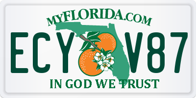 FL license plate ECYV87