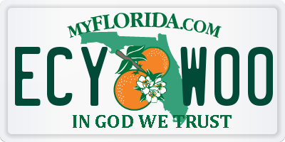 FL license plate ECYW00