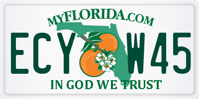 FL license plate ECYW45