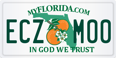 FL license plate ECZM00