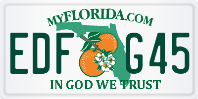 FL license plate EDFG45