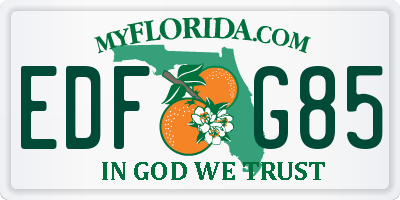 FL license plate EDFG85