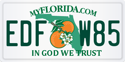 FL license plate EDFW85