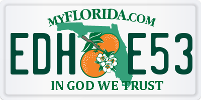 FL license plate EDHE53